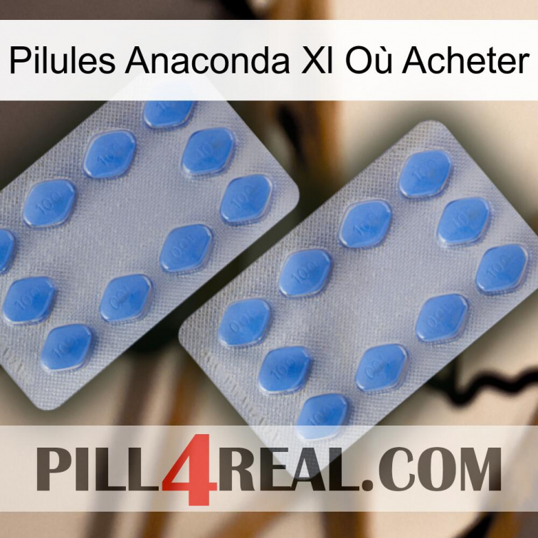 Pilules Anaconda Xl Où Acheter 20